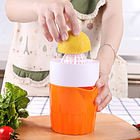 L'extracteur de fruits Le Bon Prix