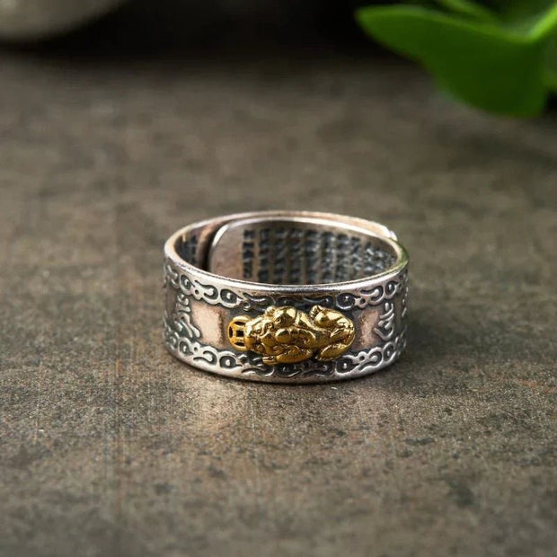 Bague Feng Shui Pixiu + 01 Guide contre les blocages Spirituels Le Bon Prix